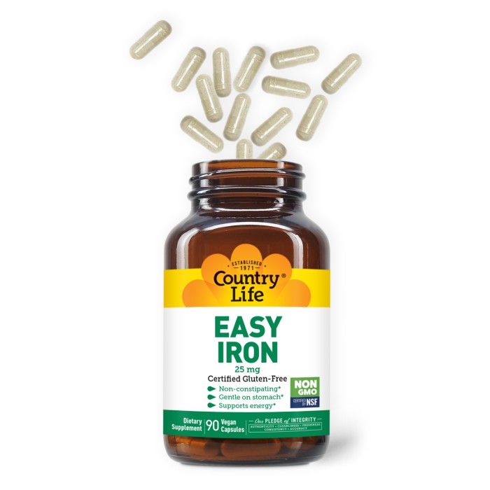Country Life Easy Iron 25 mg 90 капсул, залізо