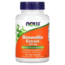 Now Foods Boswellia Extract 250 mg 120 caps