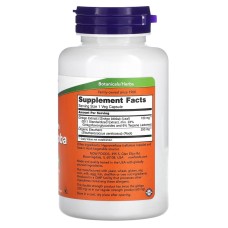 Now Foods Double Strength Ginkgo Biloba 120 mg 100 капсул, гінкго білоба