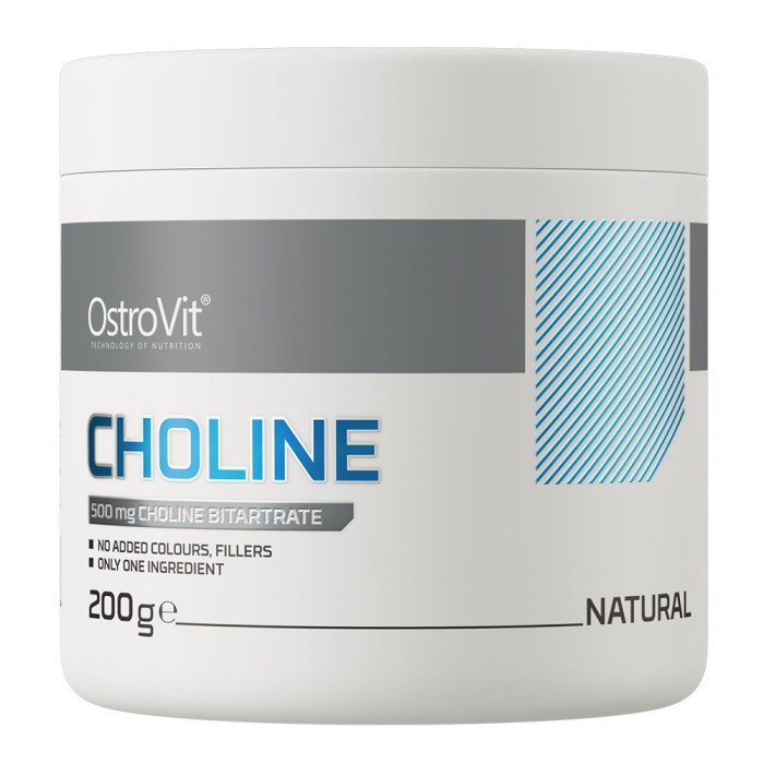 OstroVit Choline 200 грам, холін бітартрат