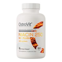 OstroVit Niacin 250 NO-FLUSH 90 tabs